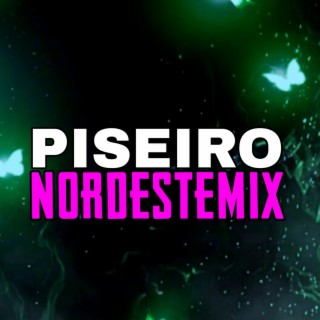 PISEIRO NORDESTEMIX