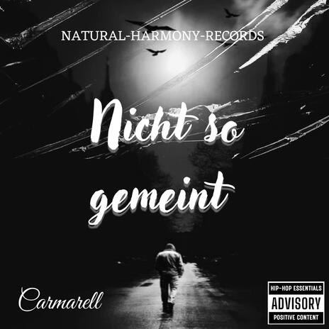 Nicht so gemeint | Boomplay Music