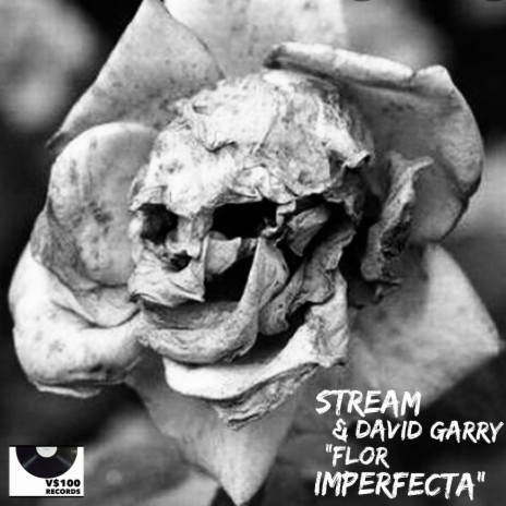 Flor Imperfecta ft. David Garry | Boomplay Music