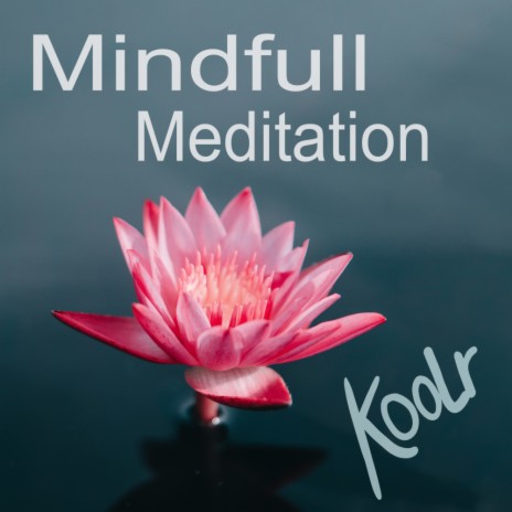 Mindfull Meditation