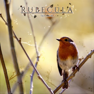 Rubecula