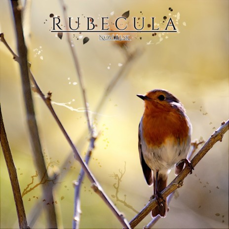 Rubecula | Boomplay Music