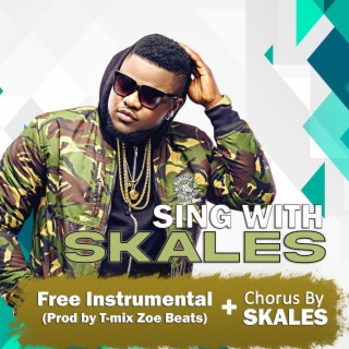 Freebeat With Hook By Skales