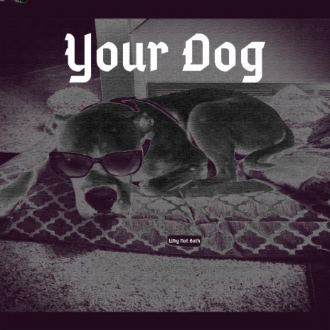 Your Dog | Boomplay Music