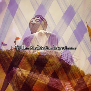 79 The Meditation Experience