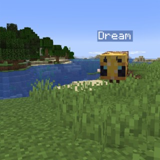 Dream Is A Bee
