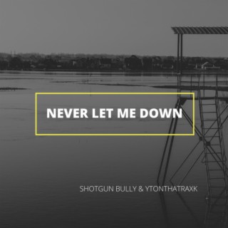 Never Let Me Down (Radio Edit)