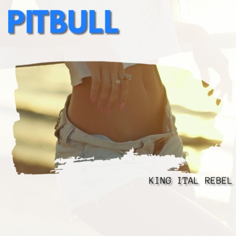 Pitbull | Boomplay Music