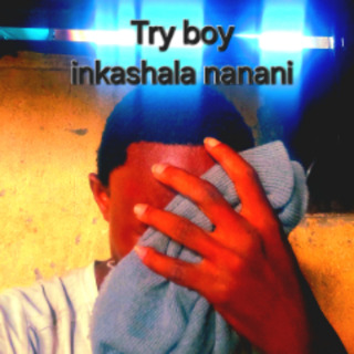 Inkashala nanani