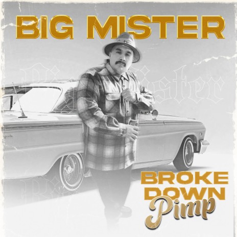 Broke Down Pimp | Boomplay Music