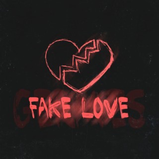 Fake Love