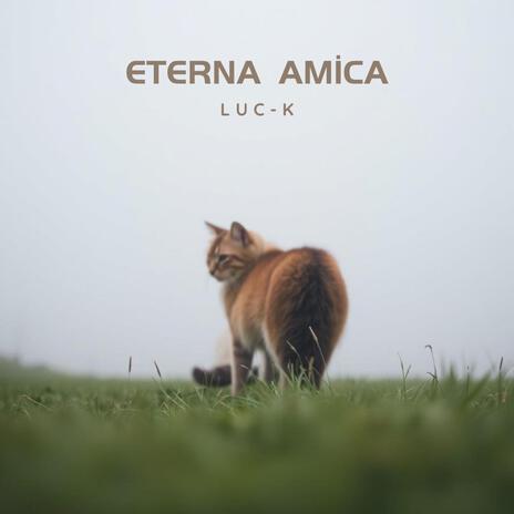 Eterna Amica | Boomplay Music