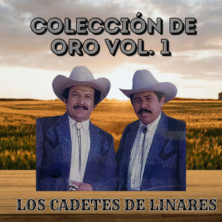 Colección de Oro Vol. 1