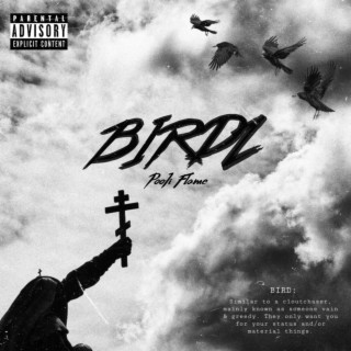 BIRDZ