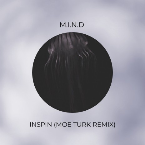 Inspin (Moe Turk Dub Remix) | Boomplay Music