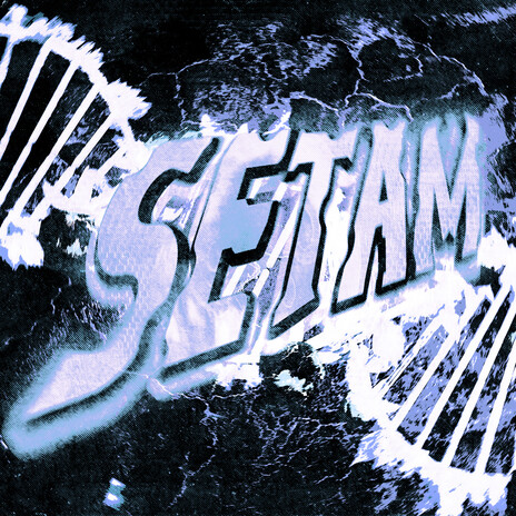 SETAM (Slowed) ft. PLAYA SSK & GolzX | Boomplay Music