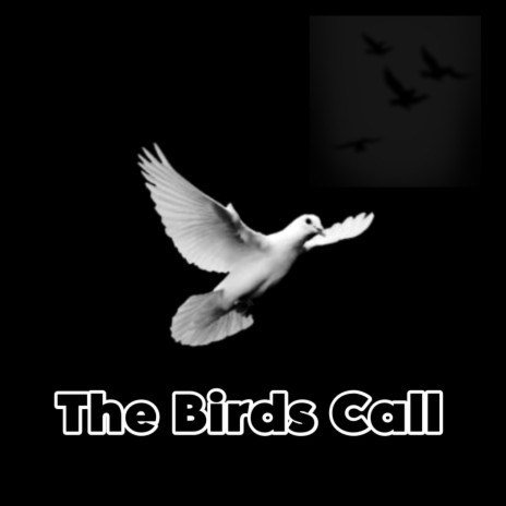 J.REDD The Birds Call Lyrics Boomplay