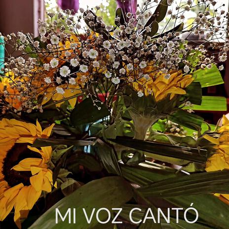 Mi Voz Cantó | Boomplay Music