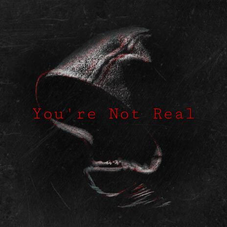 You're Not Real | Boomplay Music