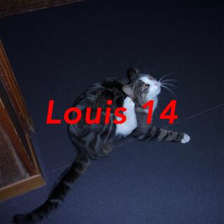 Louis 14