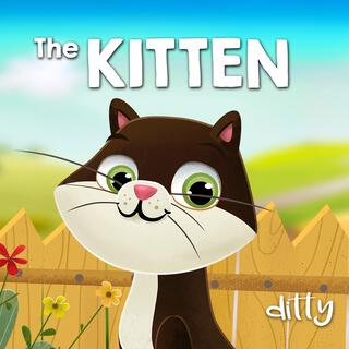 Kitten lyrics | Boomplay Music