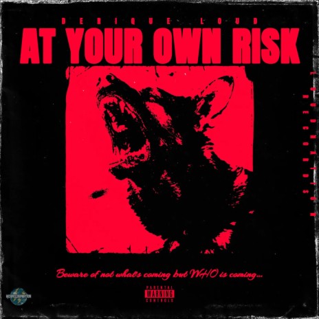 At Your Own Risk | Boomplay Music