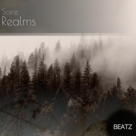 Realms (Original Mix) | Boomplay Music