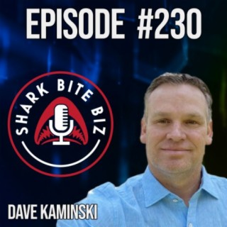#230 SEO For YOUR BUSINESS in 2024 with Dave Kaminski of CollAborate