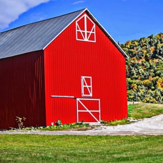 Music to Listen in The Farm