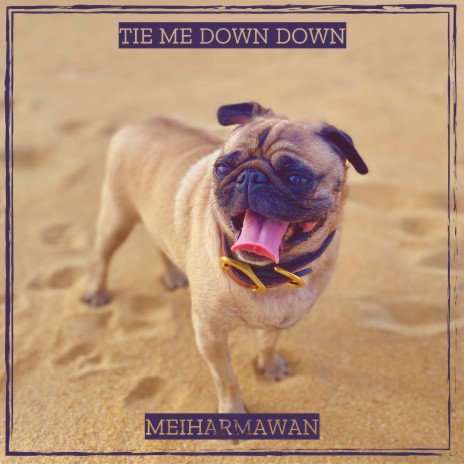 Tie Me Down Down | Boomplay Music