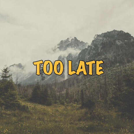 Too late | Boomplay Music