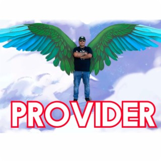 Provider