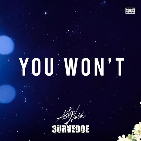 You Won't ft. 3URVEDOE | Boomplay Music