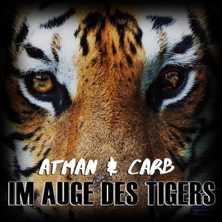 Im Auge des Tigers