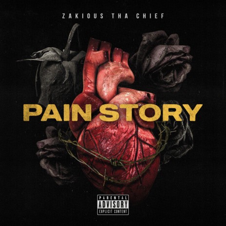 Pain Story | Boomplay Music