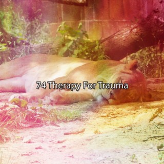 74 Therapy For Trauma