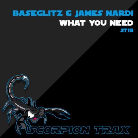 What You Need ft. James Nardi | Boomplay Music