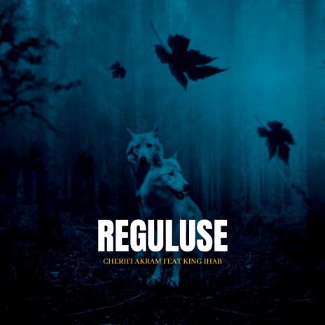 Reguluse ft. King Ihab | Boomplay Music