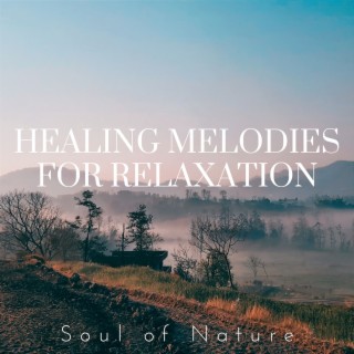 Healing Melodies for Relaxation