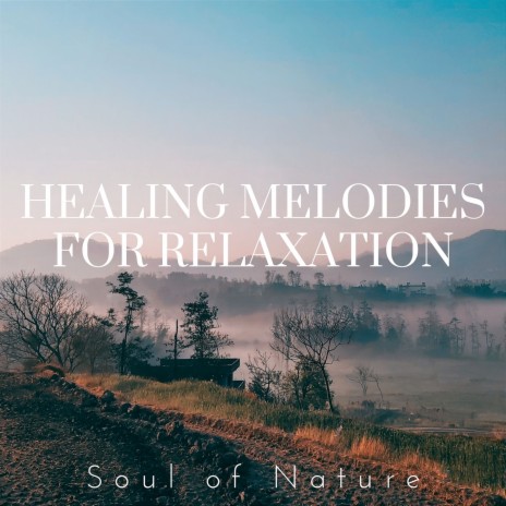 Soothing Sounds for Sleep ft. HiFi Nature Sound Library | Boomplay Music