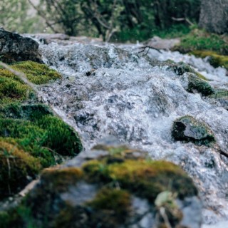 An Hour of Relaxing Sound of Rushing Water in the Creek