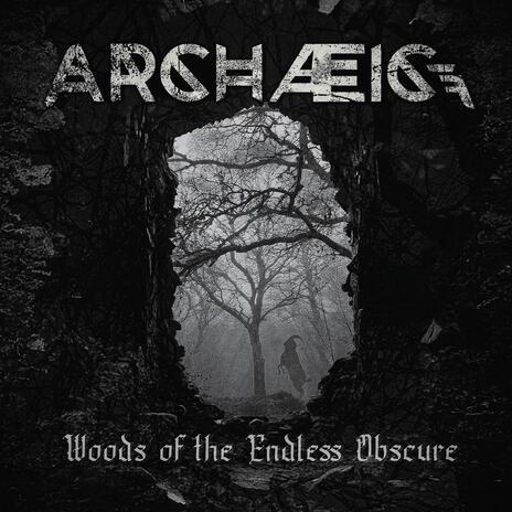 Woods of the Endless Obscure | Boomplay Music