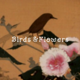 Birds and Flowers