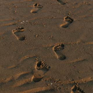 Footprints in the Sand