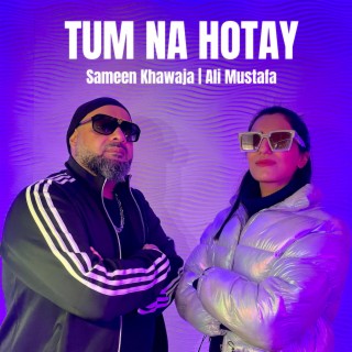 Tum Na Hotay ft. Ali Mustafa lyrics | Boomplay Music