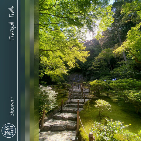 Tranquil Trails | Boomplay Music