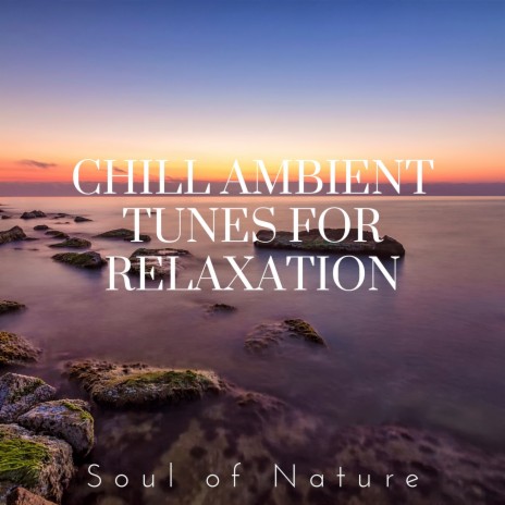 Drifting Lullabies for Sleep ft. HiFi Nature Sound Library | Boomplay Music