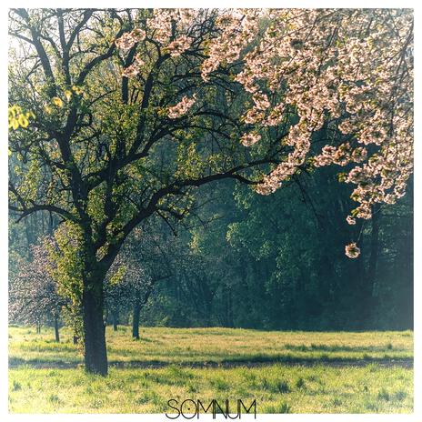 Spring | Boomplay Music