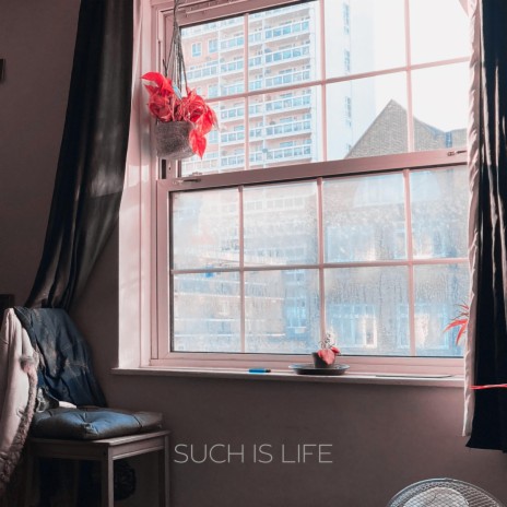 Such Is Life | Boomplay Music