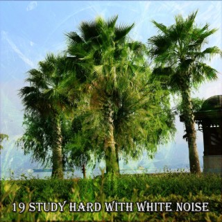 19 Study Hard With White Noise